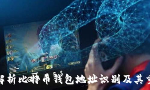   

深入解析比特币钱包地址识别及其重要性