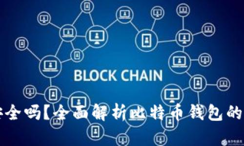 比特币存储钱包安全吗？全面解析比特币钱包的安全性和选择指南