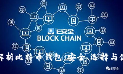 : 深度解析比特币钱包：安全、选择与使用指南