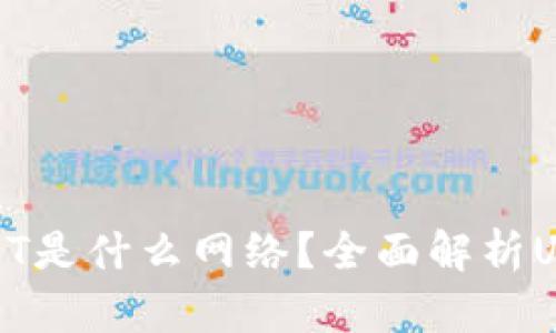 小狐狸钱包的USDT是什么网络？全面解析USDT的多重链优势