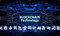 如何解决比特币钱包密码被删除的问题：全面指