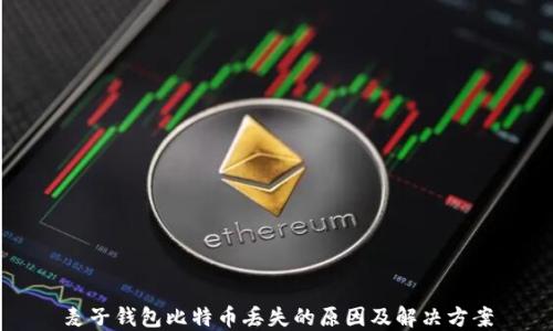 
麦子钱包比特币丢失的原因及解决方案