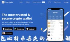 麦子钱包比特币丢失的原因及解决方案