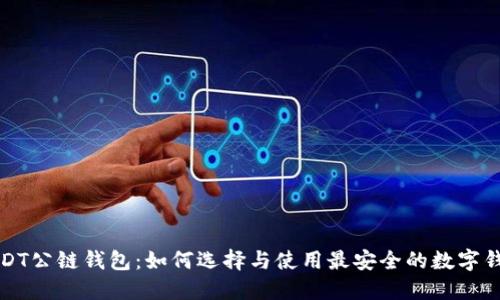 USDT公链钱包：如何选择与使用最安全的数字钱包