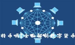 比特币钱包能放莱特币吗？全面解析数字货币钱