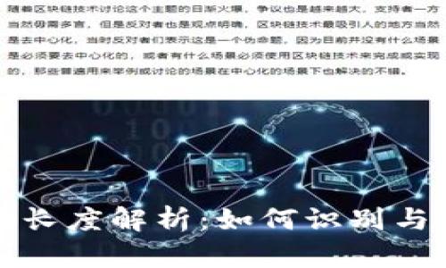 比特币钱包地址长度解析：如何识别与使用比特币地址