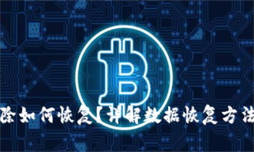 TP钱包误删除如何恢复？详解数据恢复方法及注意事项