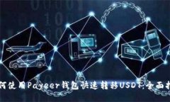 如何使用Payeer钱包快速转移USDT：全面指南