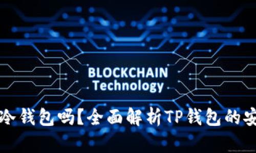 TP钱包支持冷钱包吗？全面解析TP钱包的安全性与使用