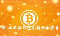 全面分析：比特派钱包支持的加密货币种类